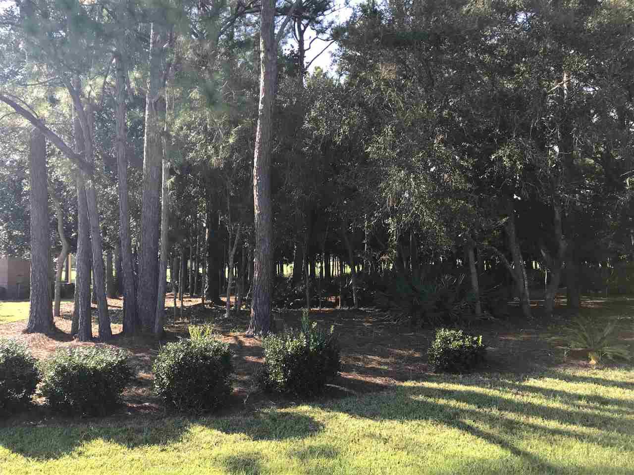 0 Fairway Drive - Photo 1