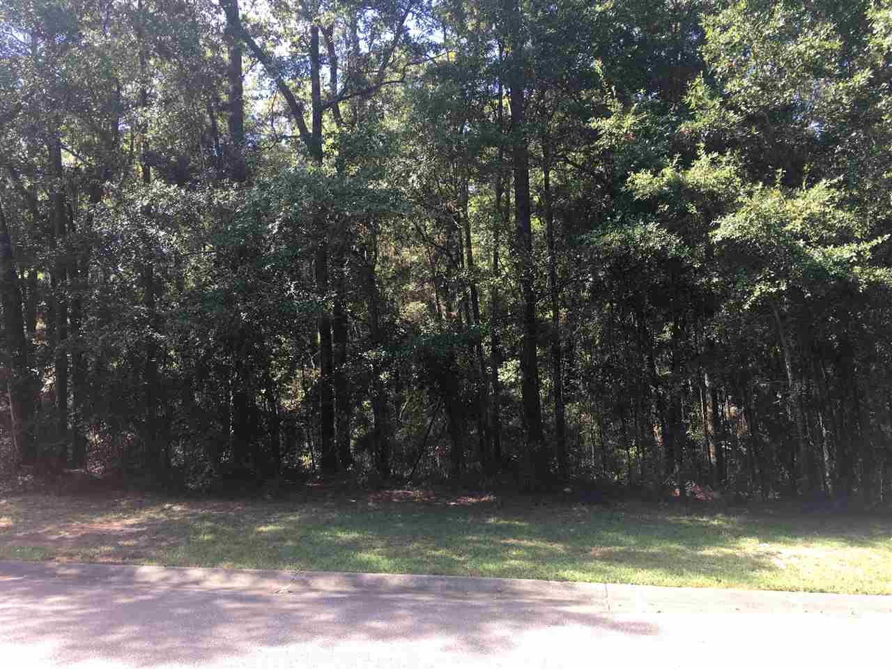 000 Victorian Drive - Photo 1