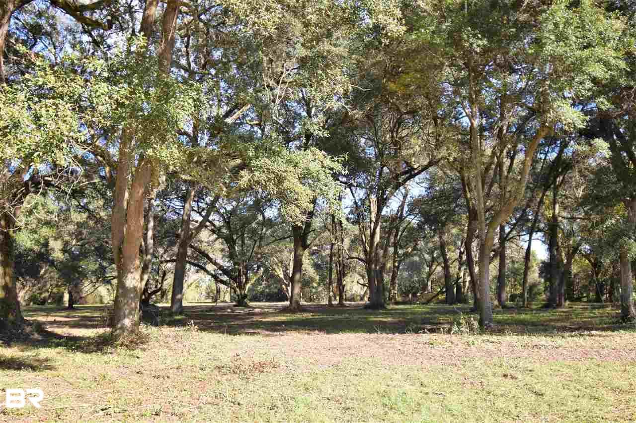 0 County Road 32 - Photo 1