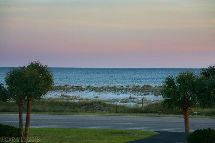 28925 Perdido Beach Blvd - Photo 1