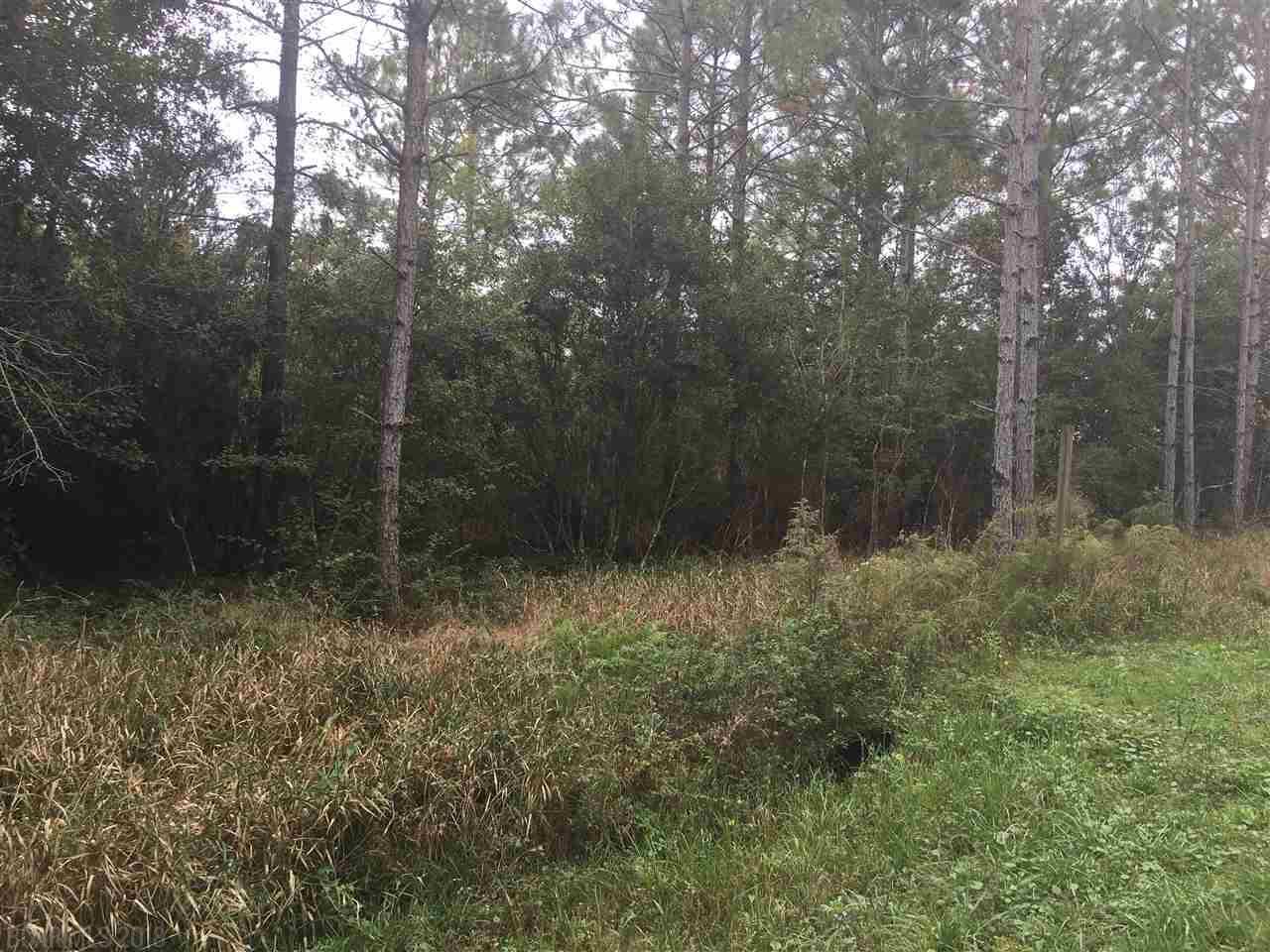 20414 Brinks Willis Road - Photo 1