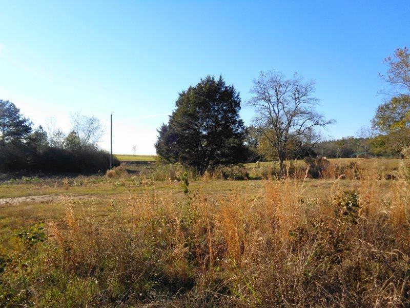 111 Old Uriah Rd - Photo 1