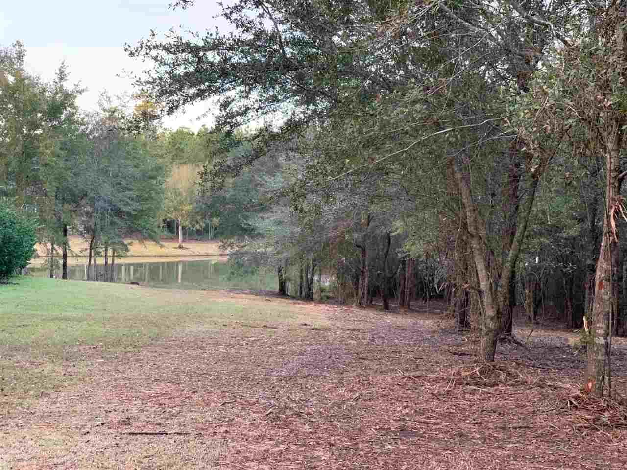 lot 65 Big Canoe Run - Photo 1
