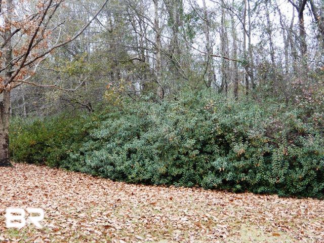 700 Block Rockaway Creek Road - Photo 1