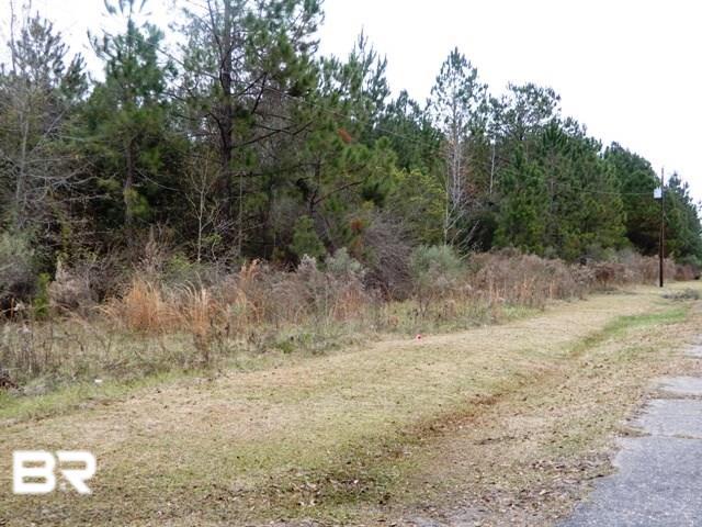 500 Block Rockaway Creek Road - Photo 1