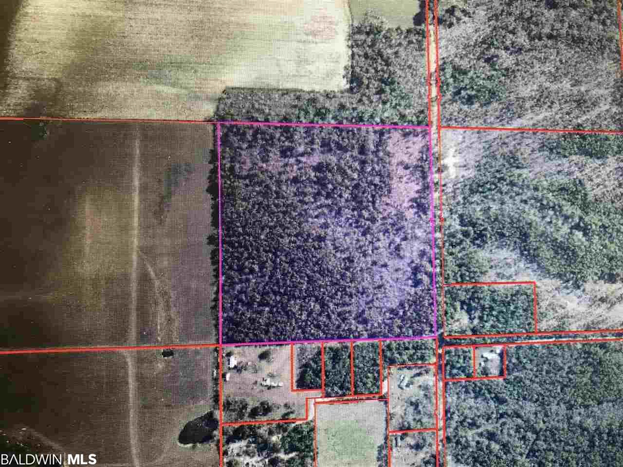 0 County Road 26 - Photo 1