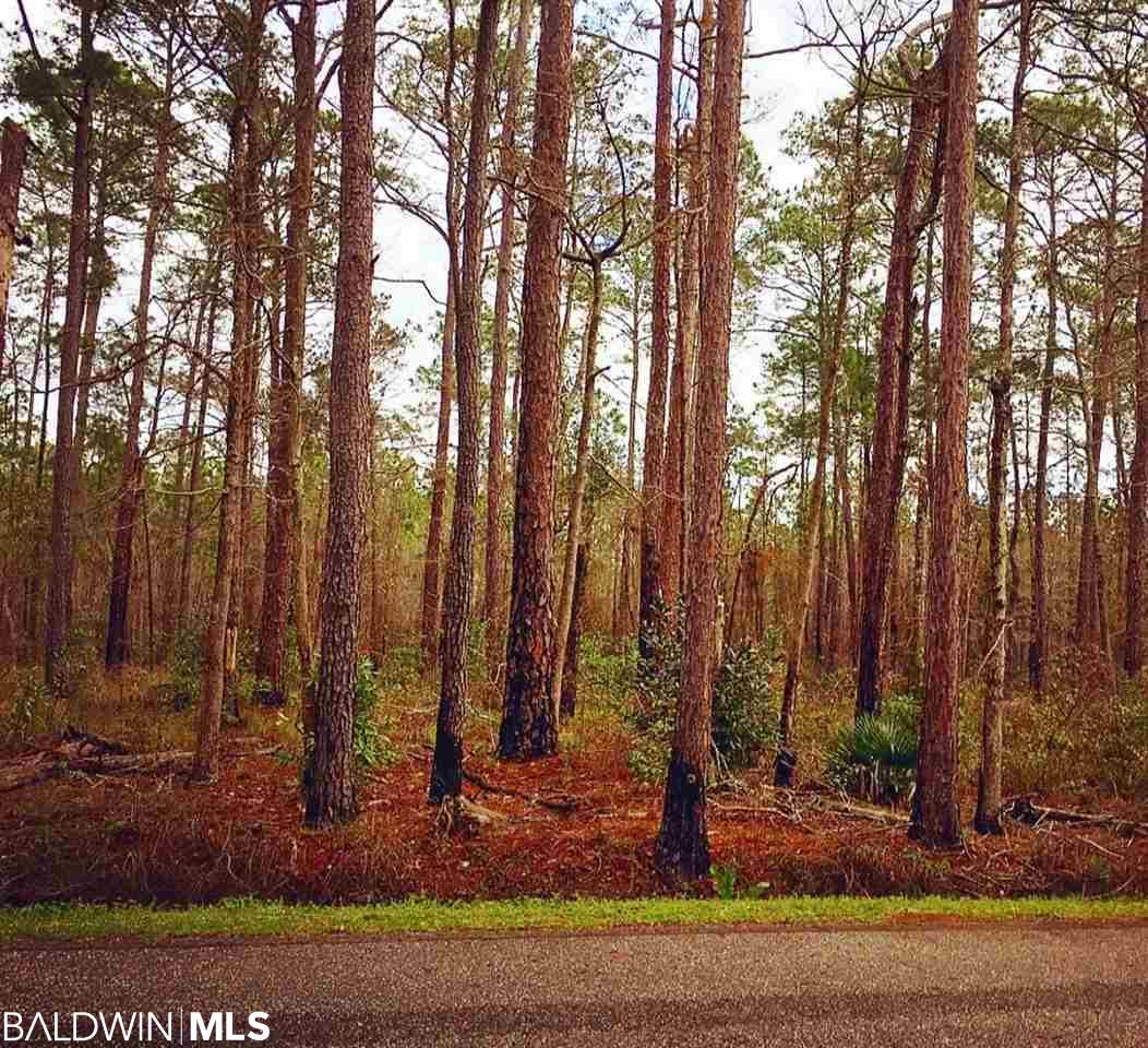9456 Bay Road - Photo 1