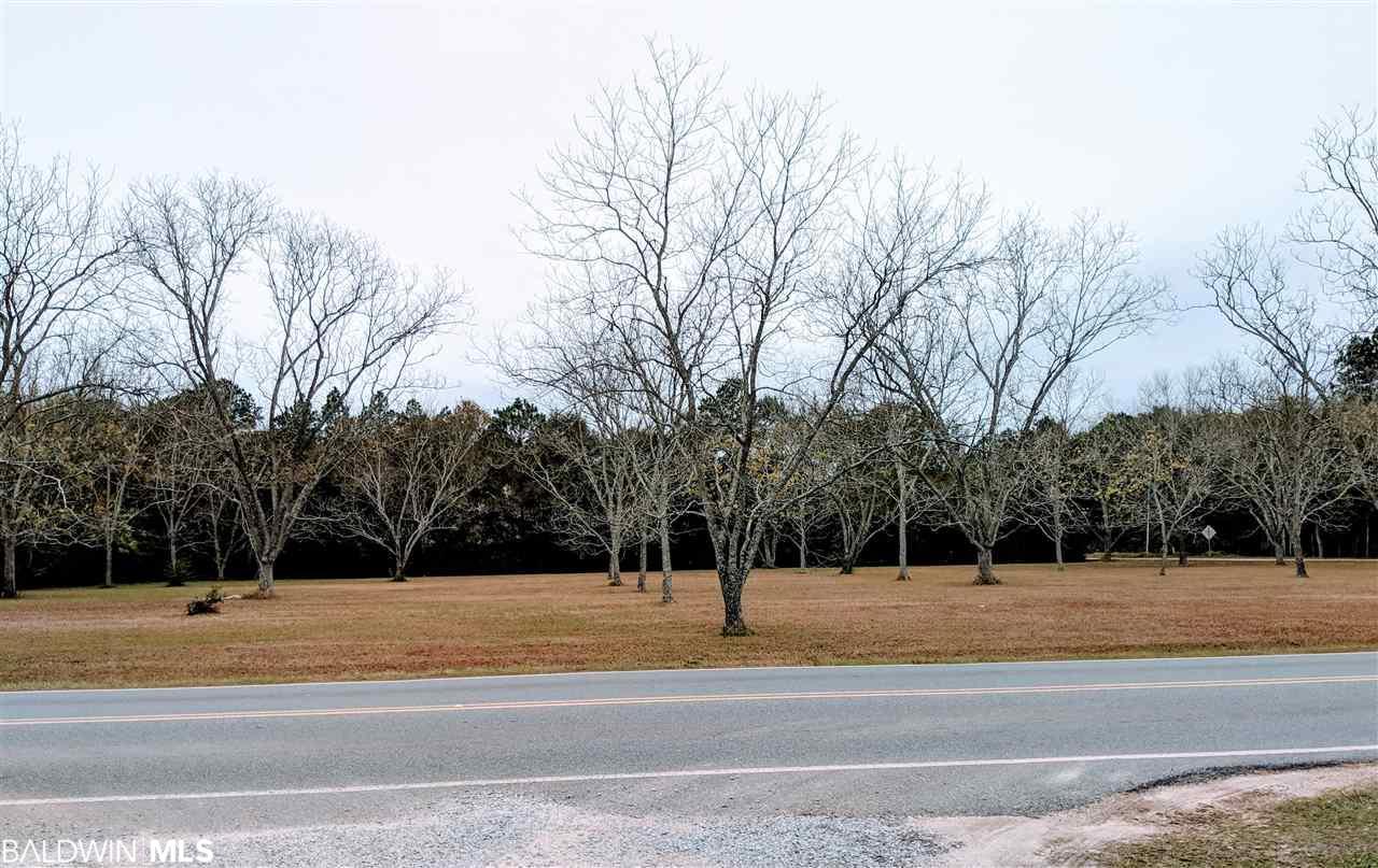 0 County Road 65 - Photo 1
