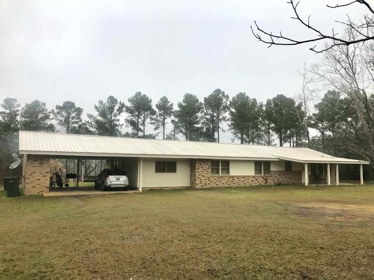 40933 Whitehouse Fork Road - Photo 1