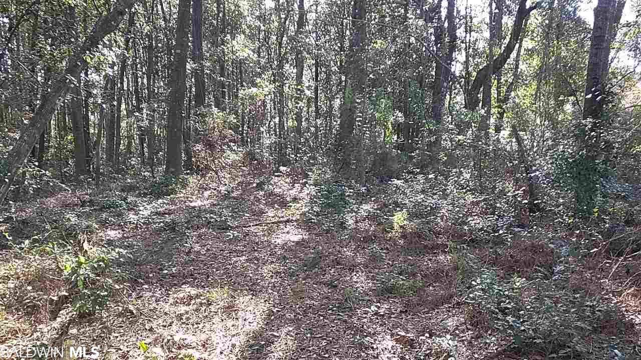 0 Battles Road - Photo 1