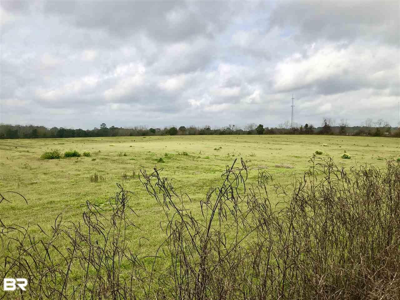 23165 Poplar Rd - Photo 1