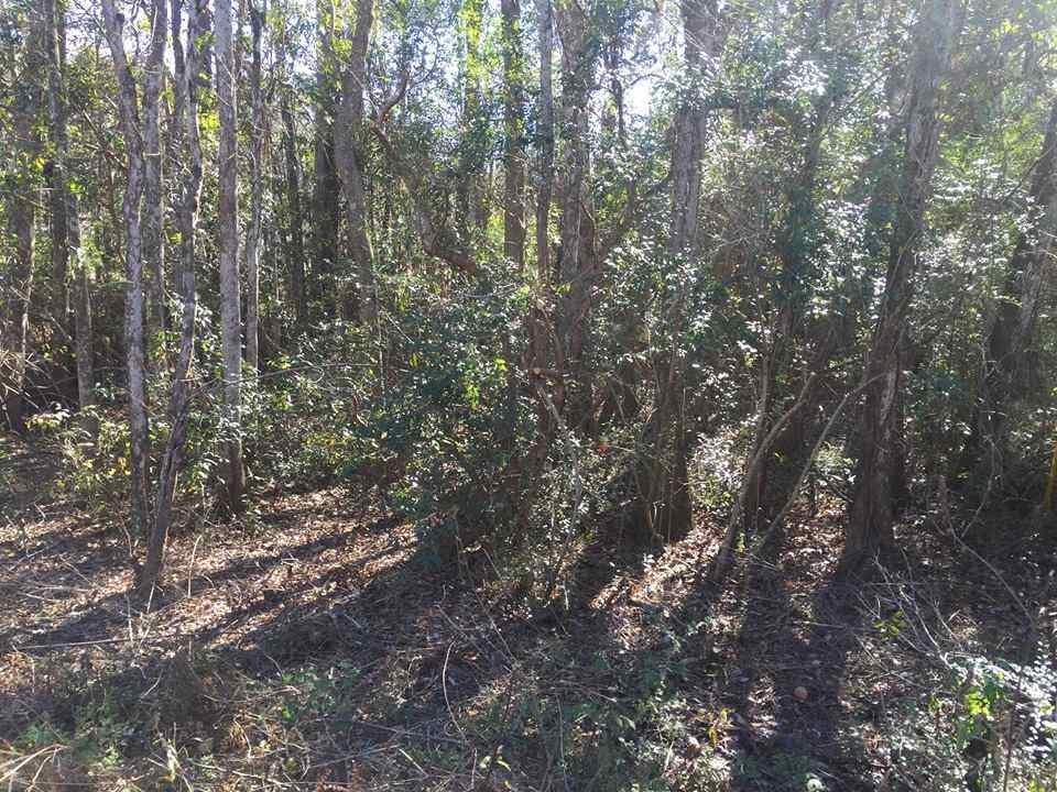 126 Greenwood Drive - Photo 1