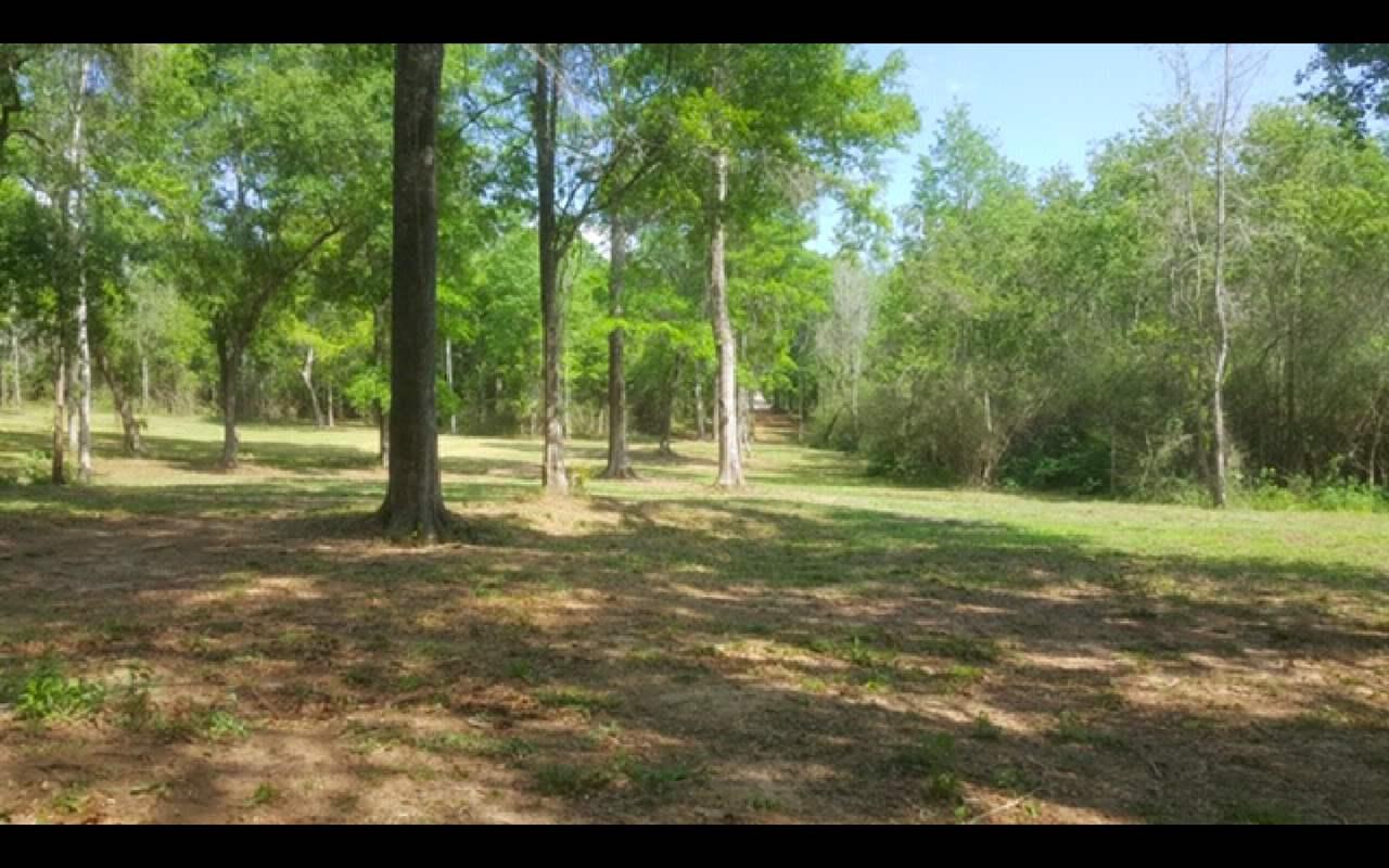 0001 County Road 55 - Photo 1