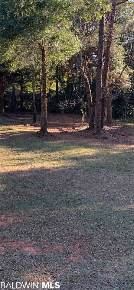0 Beall Lane - Photo 1