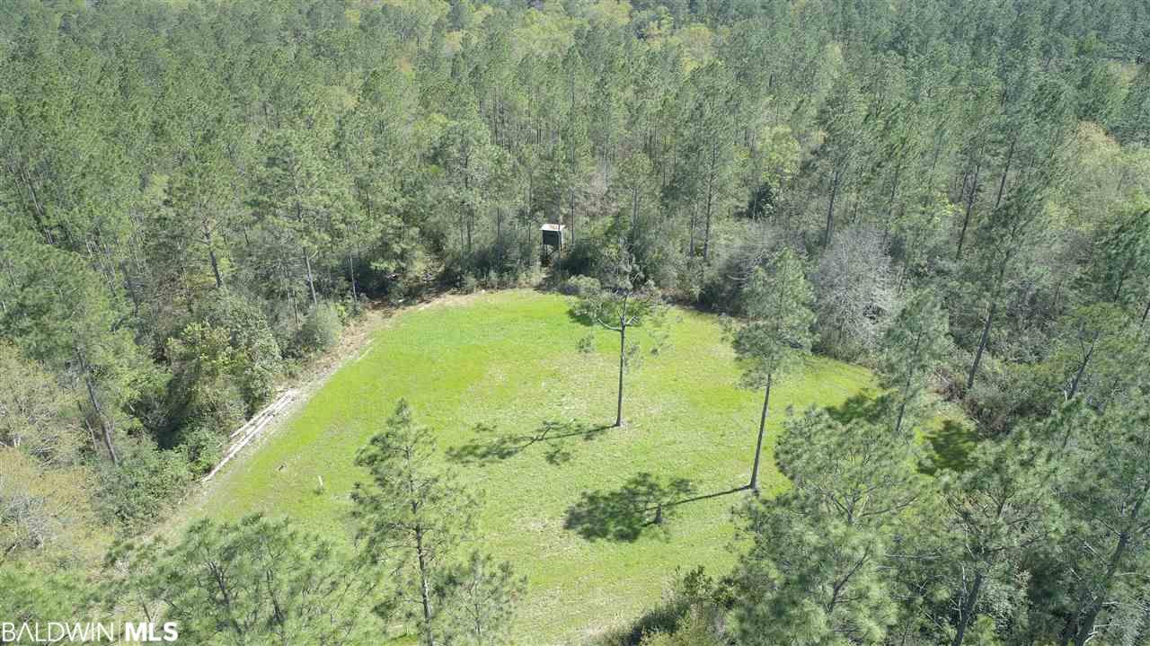 0 River Road - Photo 1