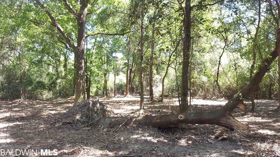 0 County Road 95 - Photo 1