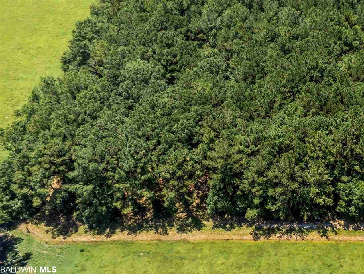 54240 Highway 59 - Photo 1