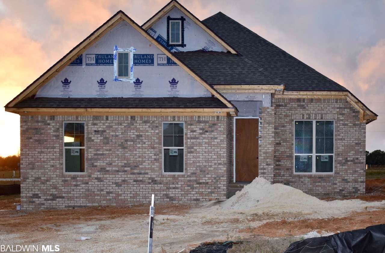 904 Charleston Loop - Photo 1