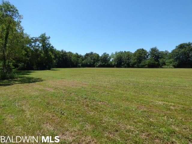 0 Milton Jones Road - Photo 1