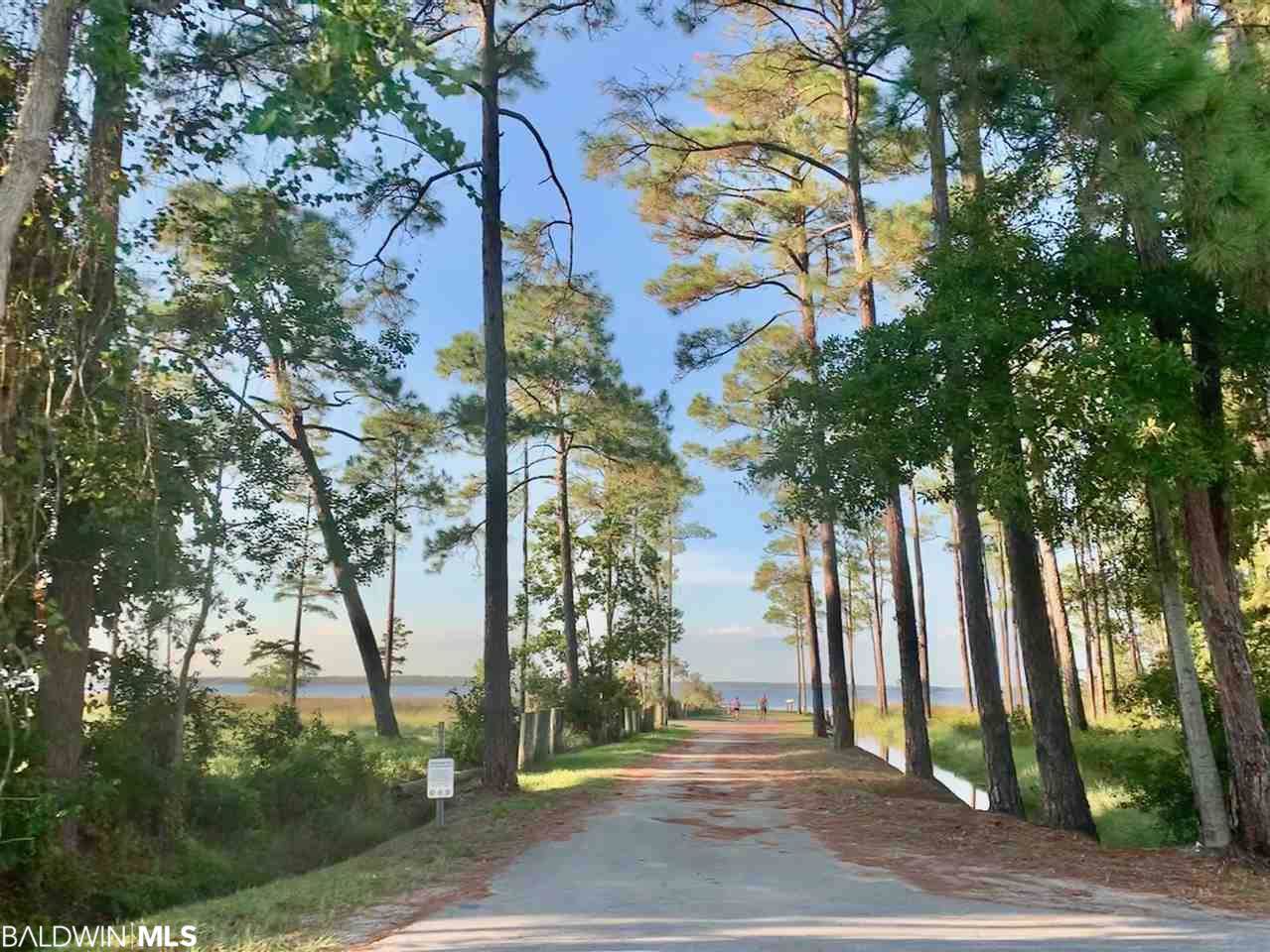 25473 Canal Road - Photo 1