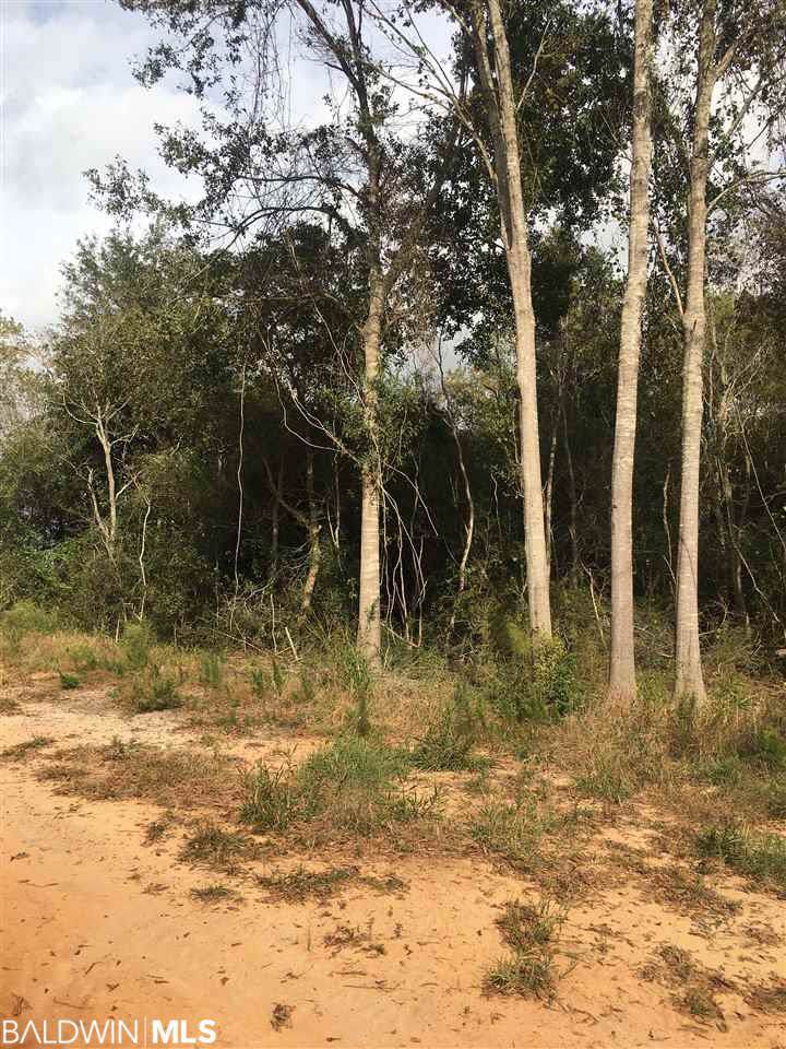 15710 County Road 28 - Photo 1