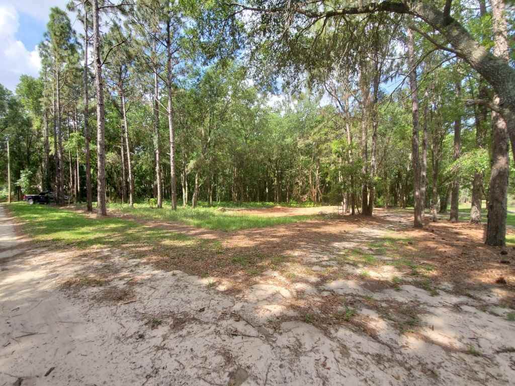 0 Hazelwood Rd - Photo 1