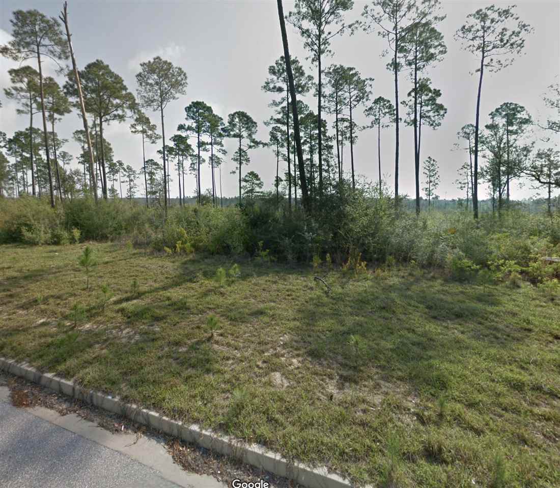 10982 Tall Timber Lane - Photo 1