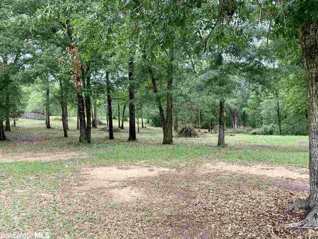 0 Turning Leaf Drive - Photo 1