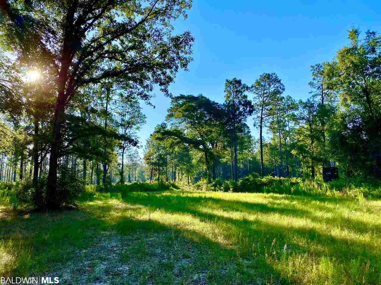 0 County Road 39 - Photo 1