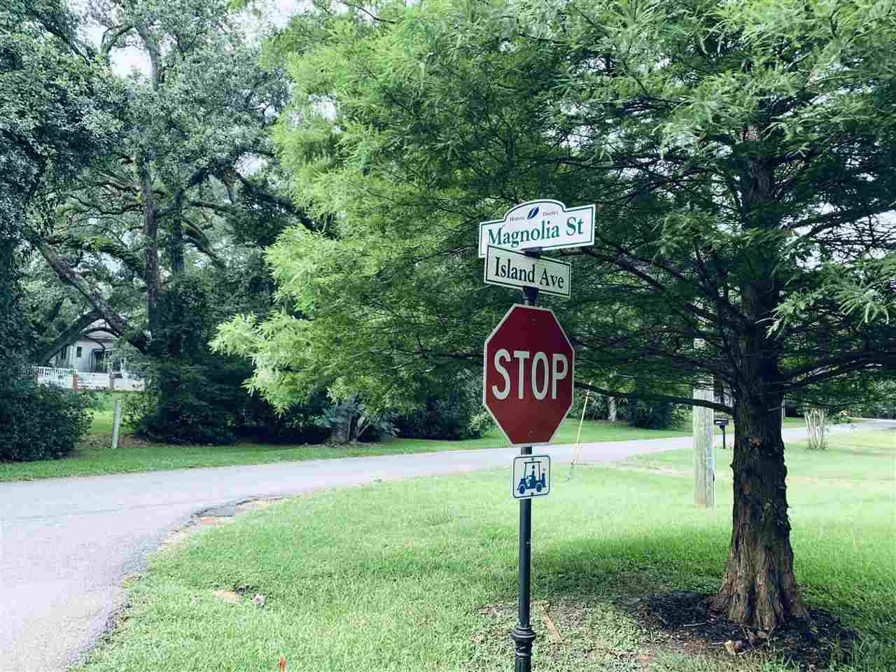 0 Island Avenue - Photo 1