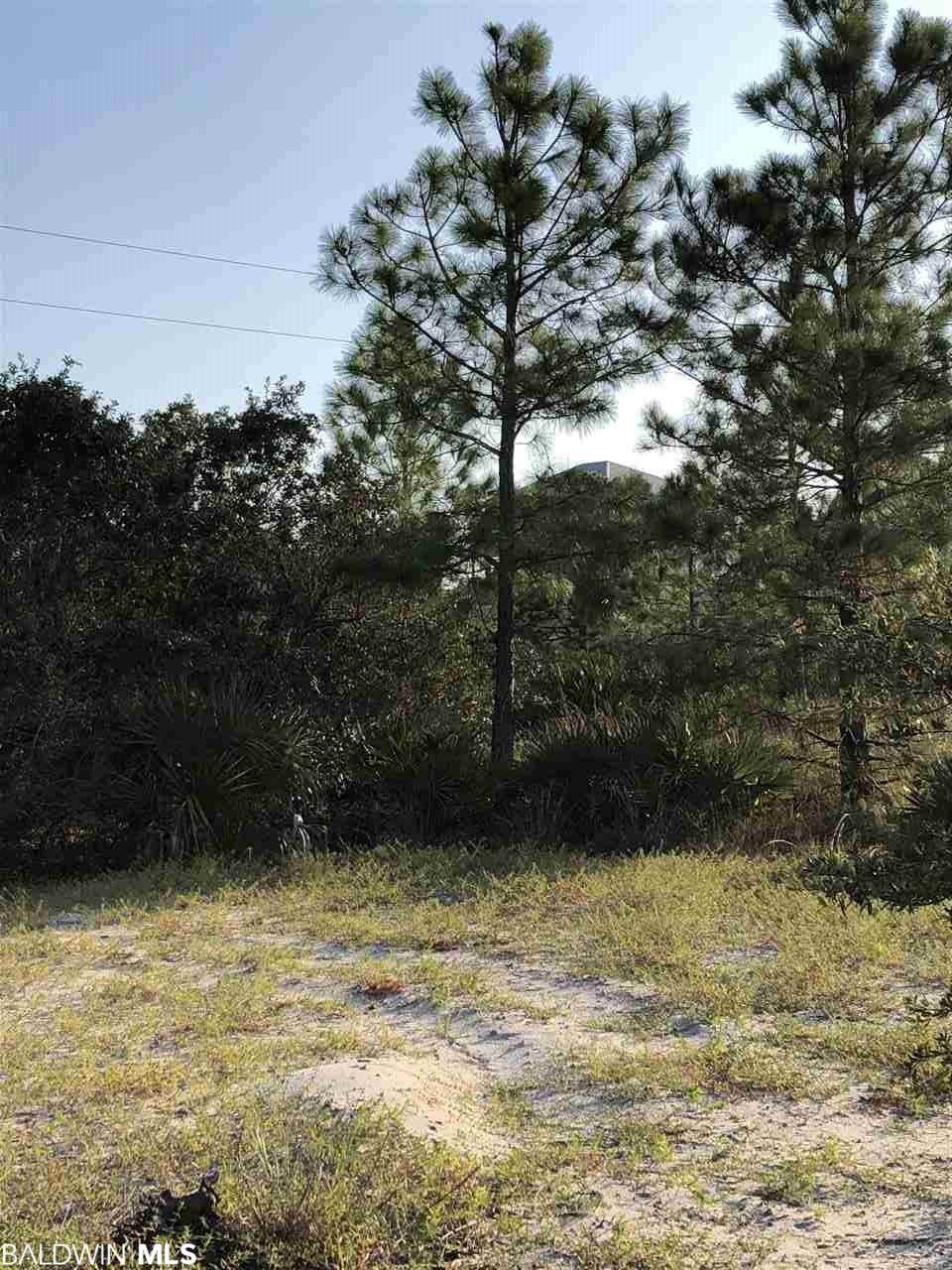 Driftwood Dr - Photo 1