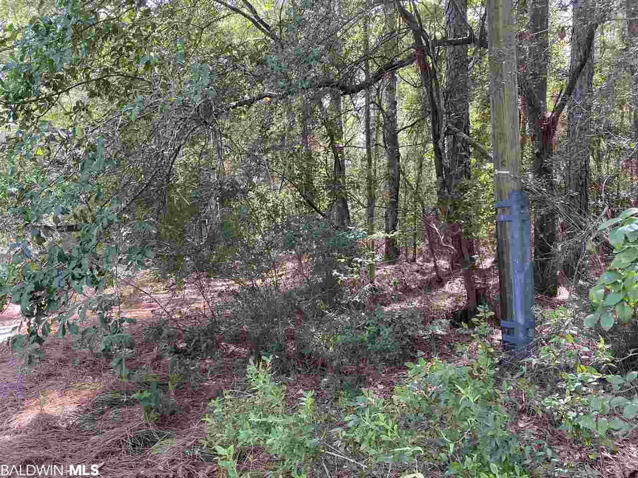 0 Brookwood Drive - Photo 1