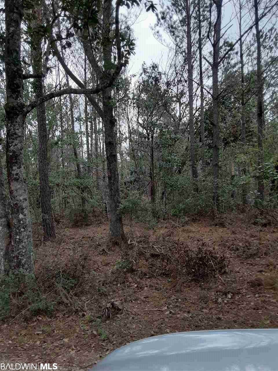 0 County Road 16 - Photo 1
