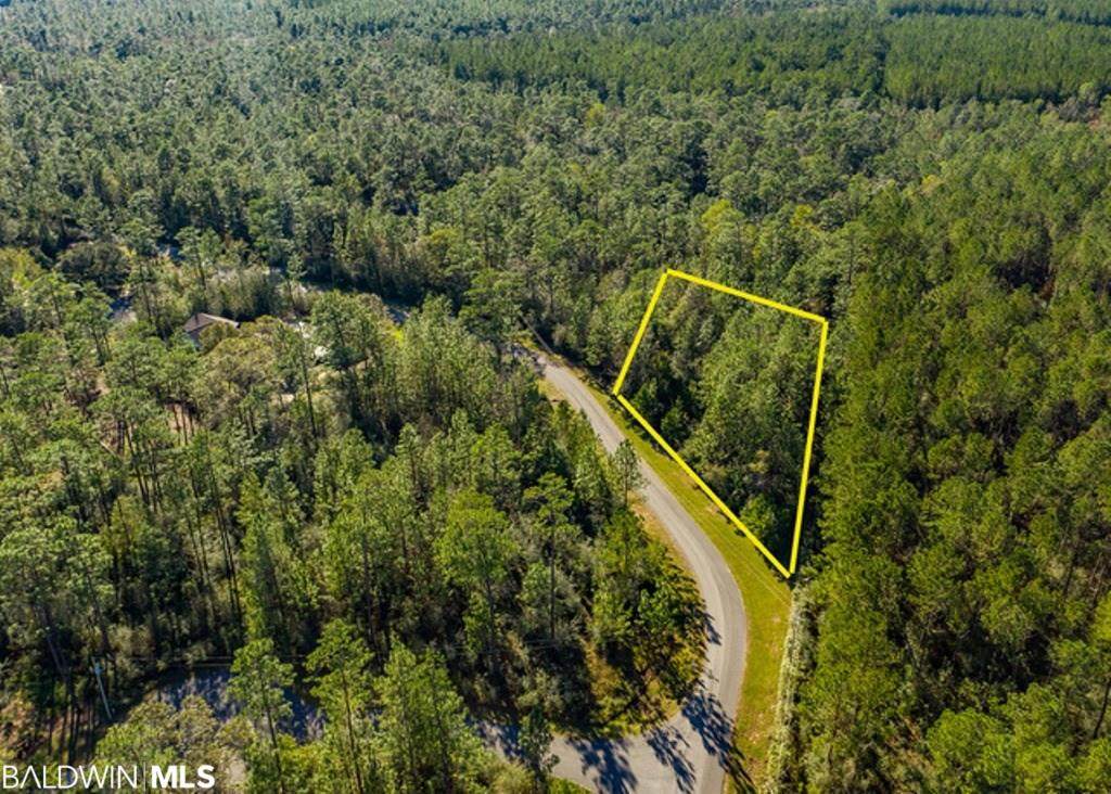 0 Steelwood Ridge Rd - Photo 1