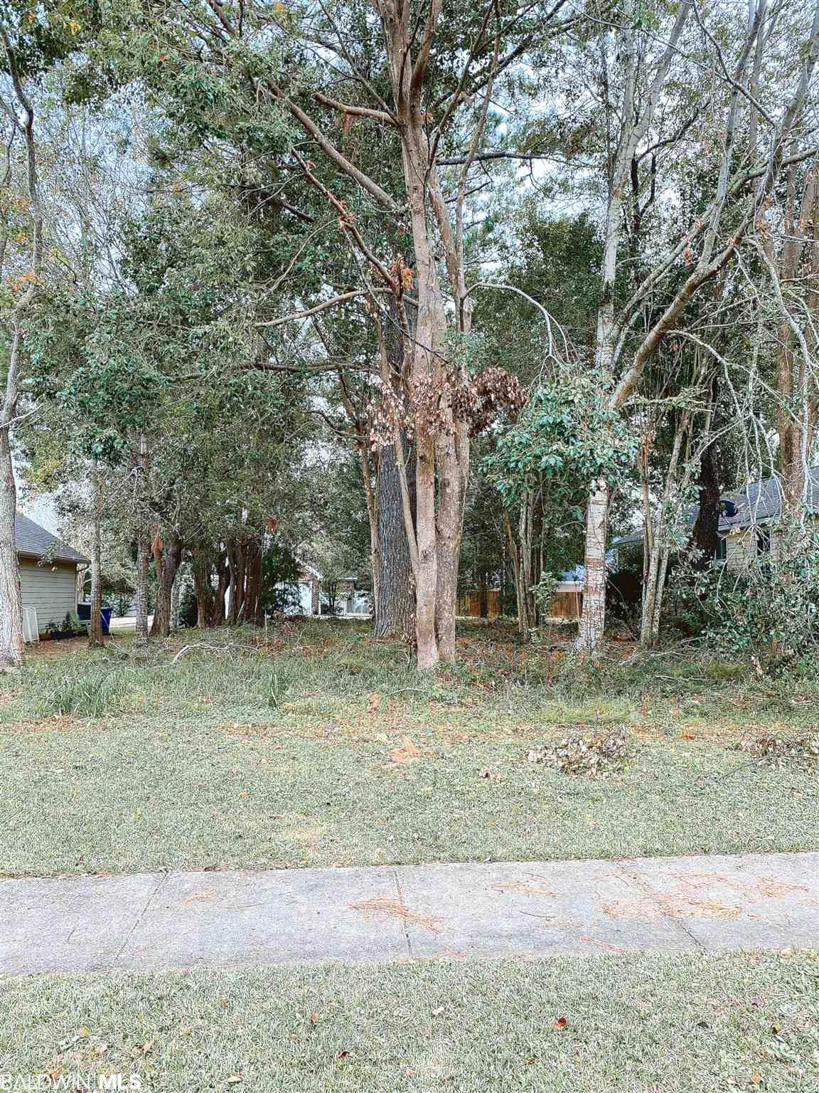 0 Emmanuel Street - Photo 1