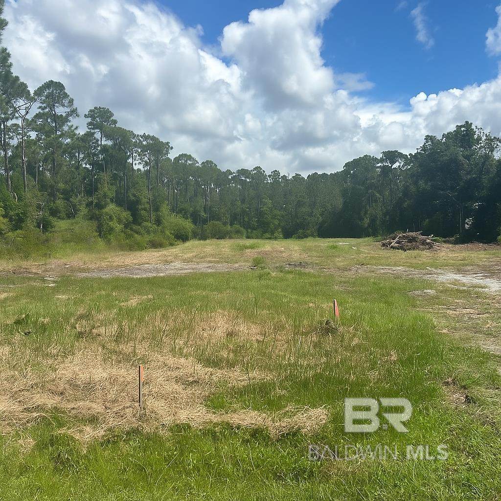 27503 Canal Road - Photo 1