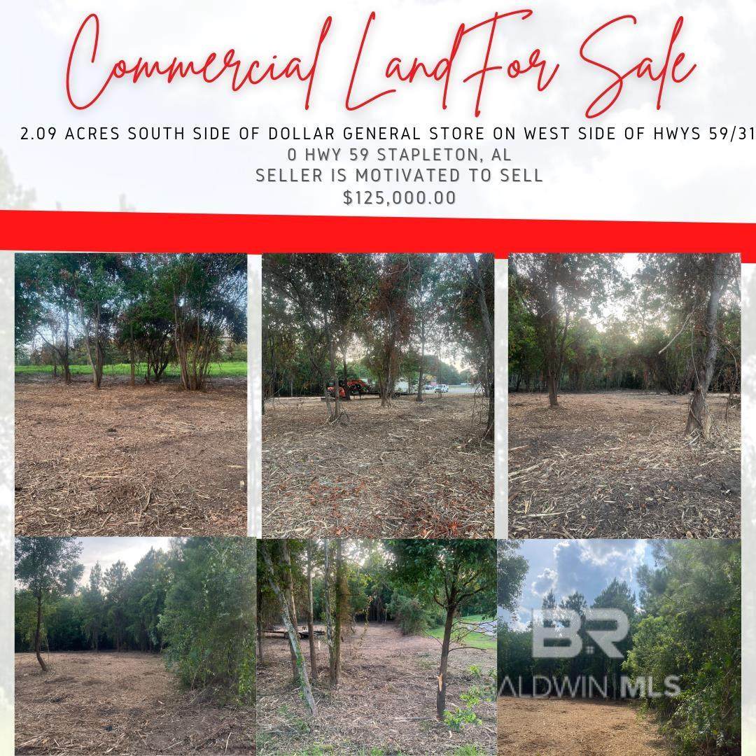 0 St Hwy 59 - Photo 1