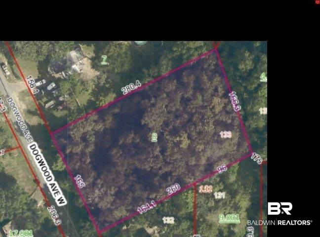 905 Dogwood Court - Photo 1