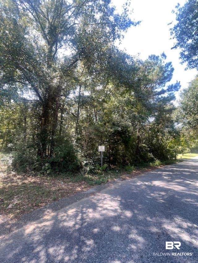9375 Lake Woods Drive - Photo 1