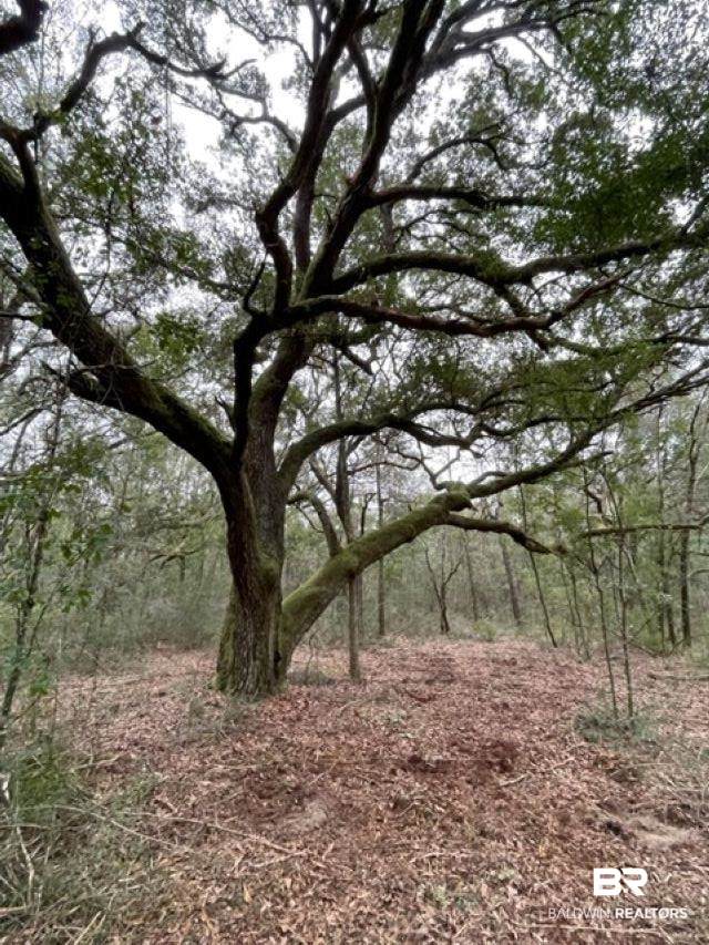 9847 County Road 99 - Photo 1