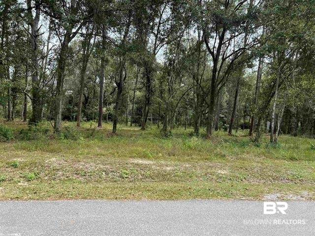 0 Highway 98 - Photo 1