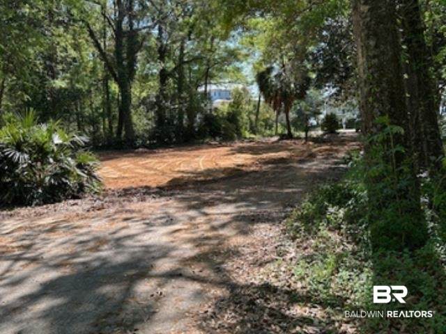 24168 Bay Shore Drive - Photo 1