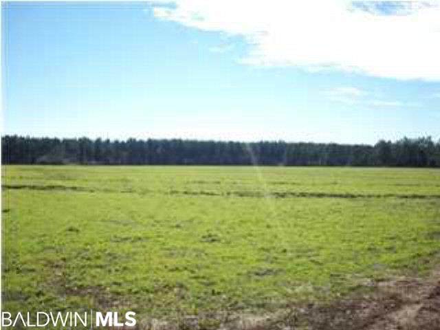 0 Three Mile Road - Photo 1