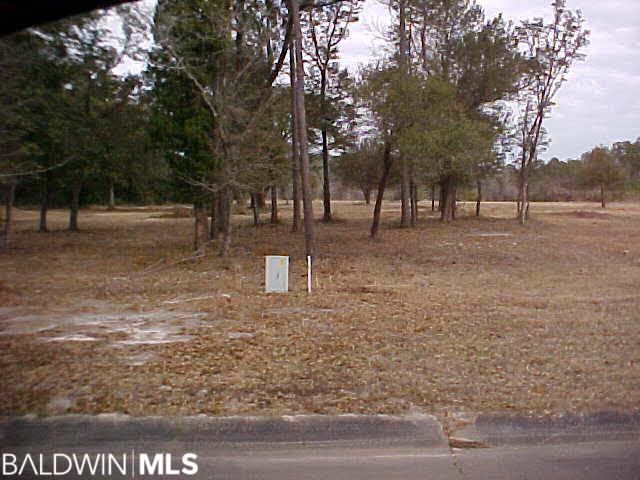 0 Highway 59 - Photo 1