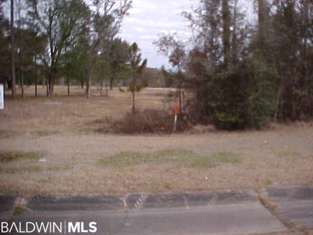 0 Highway 59 - Photo 1