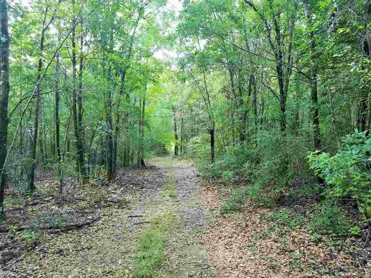 0 Brown Road - Photo 1