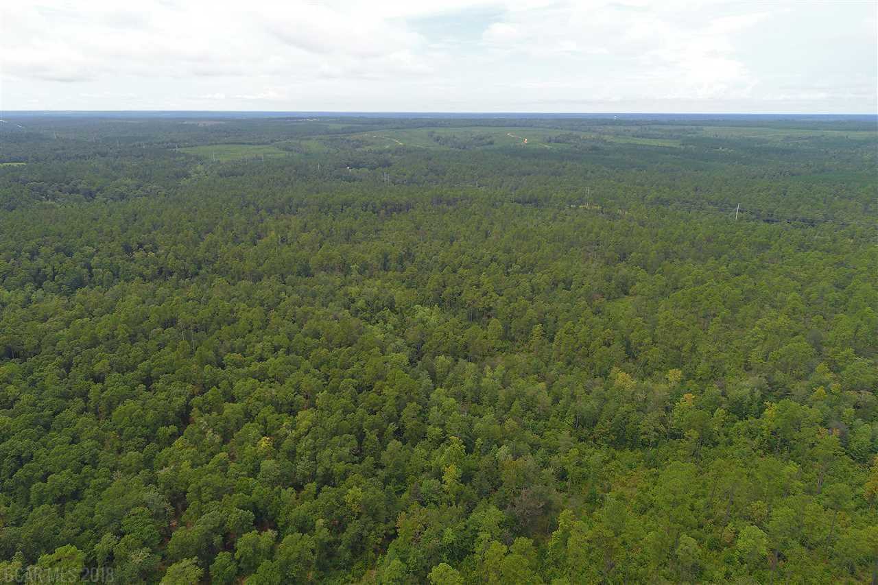 0 Us Highway 29 - Photo 1