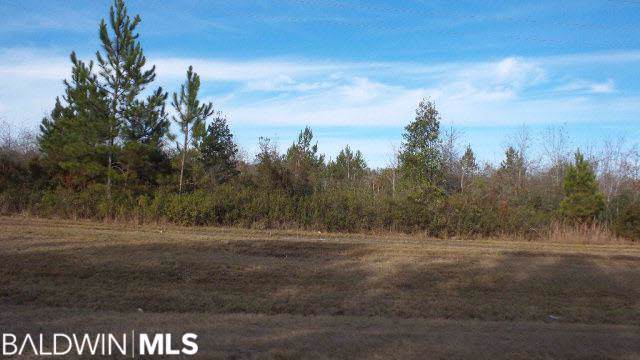 16582 Highway 182 - Photo 1