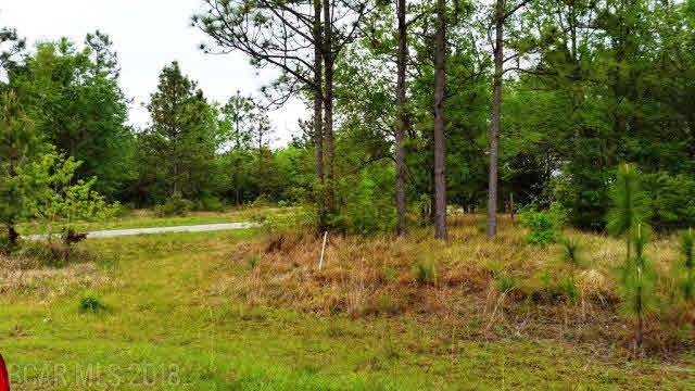 0 Dragoon Court - Photo 1