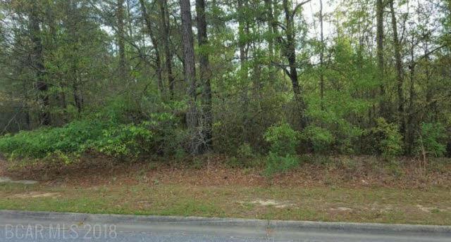 0 Juniper Creek Dr - Photo 1